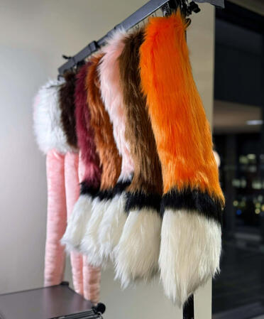Fox tail Fox tail